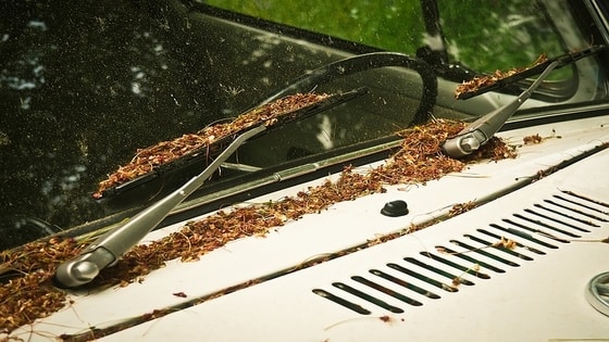 Wipers Cleaning of the Vehicle