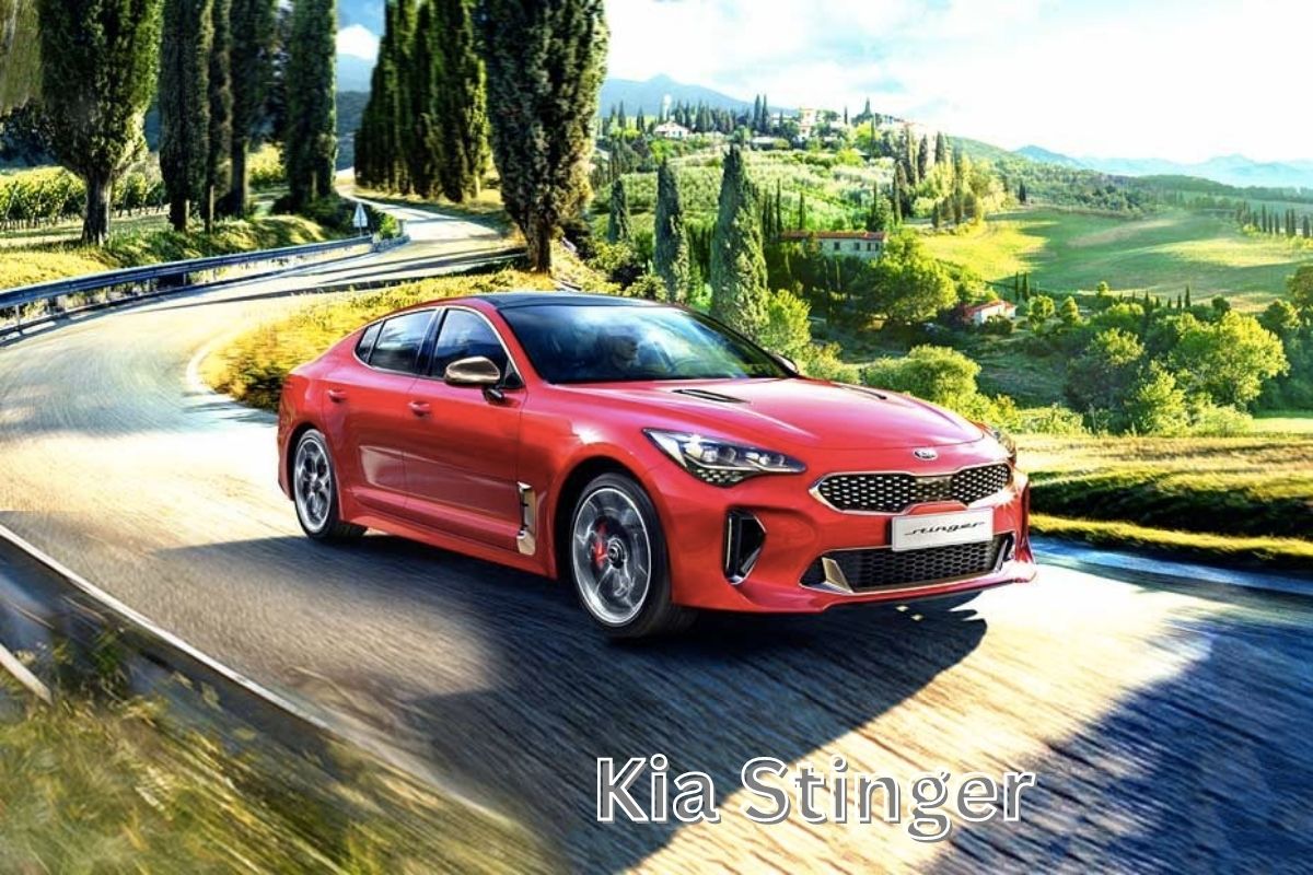 Read more about the article Kia Stinger Price in India, Dimensions, Mileage, Colours, Specs And Auto Facts