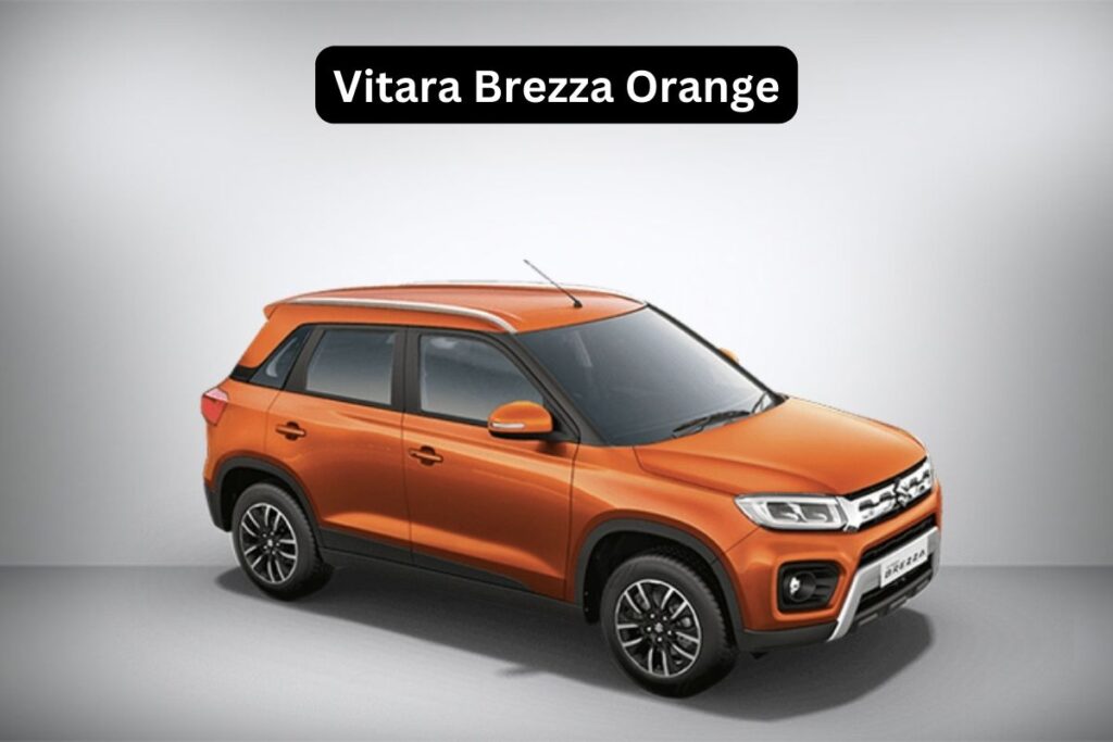 Vitara Brezza Colors in India - An Automotive Teller