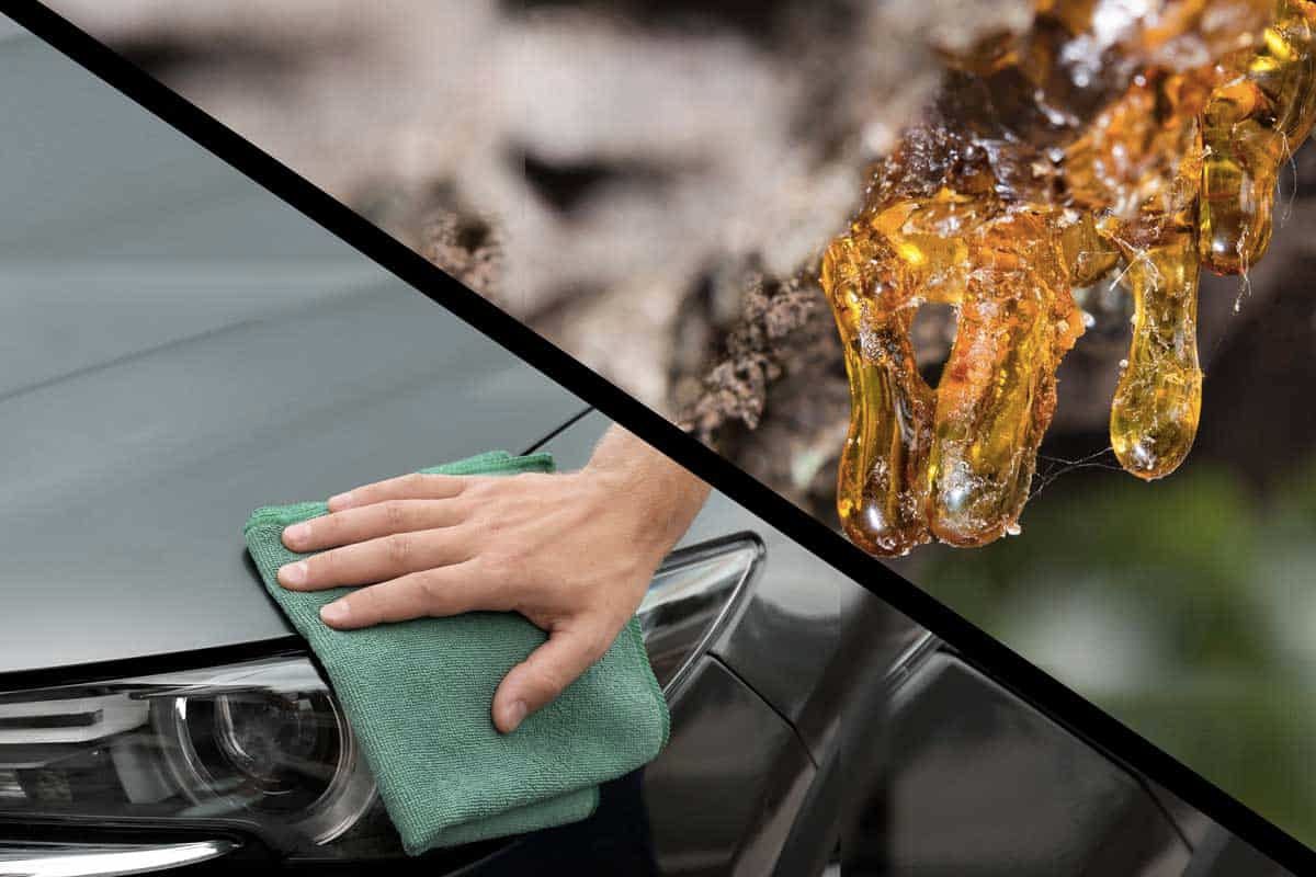 2023 How to Remove Tree Sap From Your Car in Details Full Guide