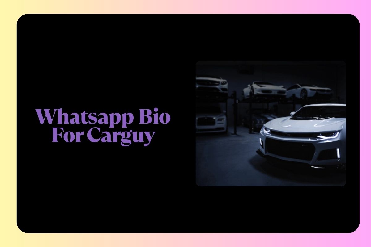 Whatsapp Bio For Carguy